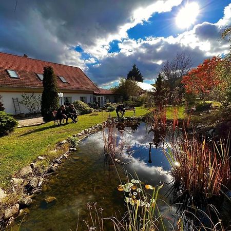 Pilisi Lovas Major, Dorog Bed and Breakfast Εξωτερικό φωτογραφία
